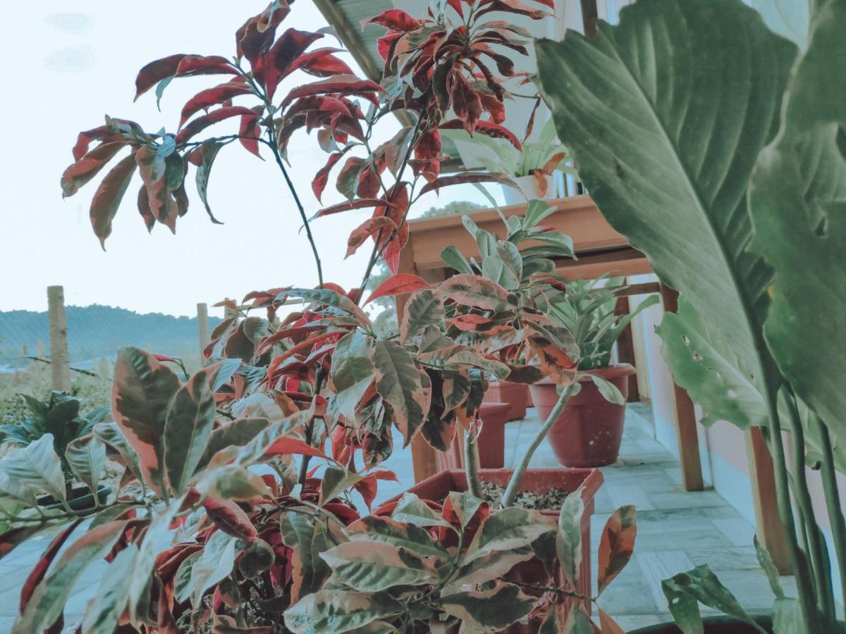 Nobi'S Inn, Port Barton San Vicente  Dış mekan fotoğraf